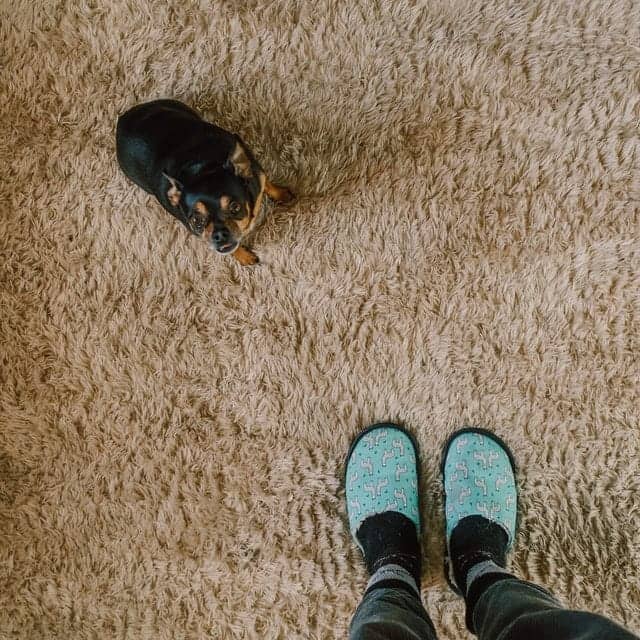 Do You Tip Carpet Cleaners?