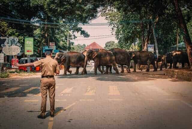 टिपिंग विला स्टाफ श्रीलंका