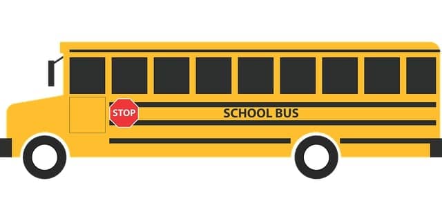 How much to tip school bus driver